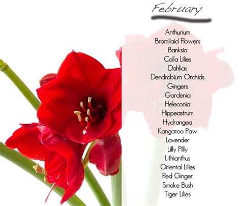 Seasonal Flowers By Month Uk A Visual Guide To Wedding Flowers By