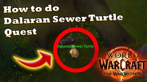 How To Do Dalaran Sewer Turtle Quest WoW TWW YouTube