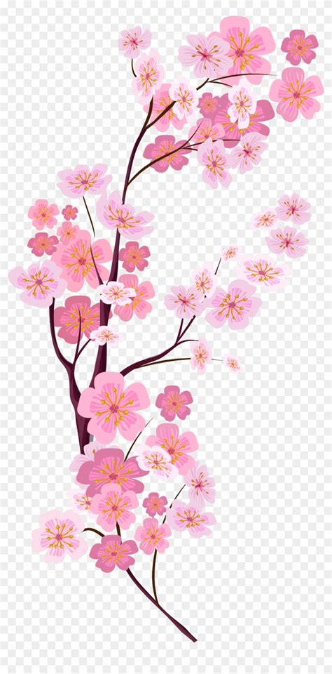 Cherry Blossom Branch Vector at Vectorified.com | Collection of Cherry ...