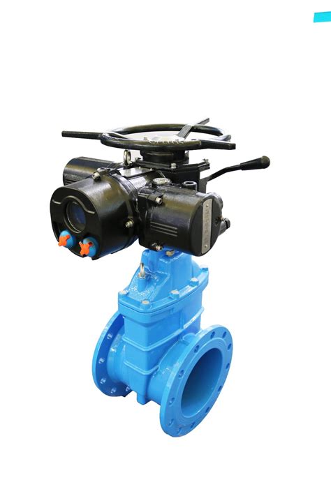 Ductile Iron Os Y Bb Rising Stem Rubber Seat Gate Valve China Ductile