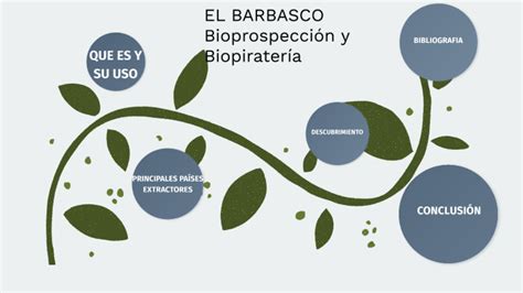 El Barbasco Biopirater A Y Bioprospecci N By Calixto Gardu O Edgar