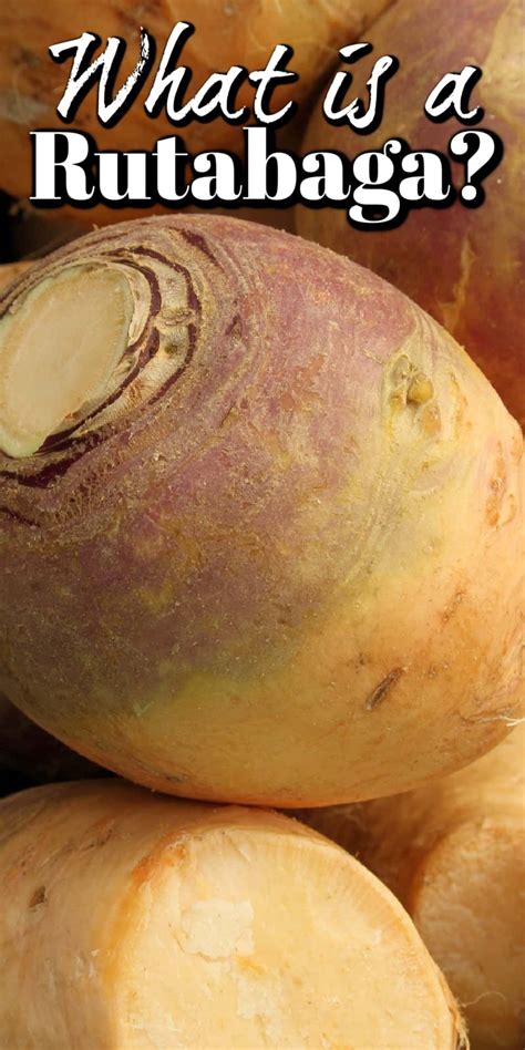 What Is Rutabaga And How To Cook It Is An Informative Article To Help You Try This Vegetable If