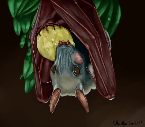 Hammer Headed Bat Speedpaint By Bernad On Itaku