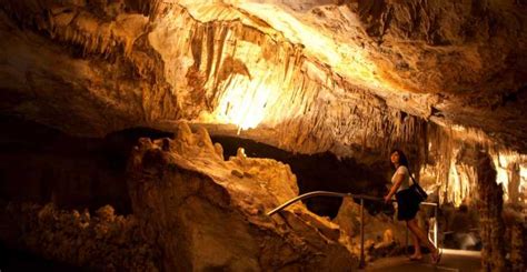 Caves Of Drach And East Full Day Tour From The North GetYourGuide