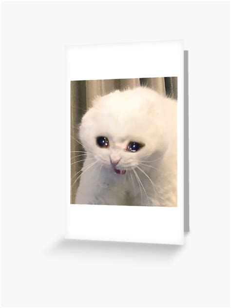 Crying Cat Meme Greeting Card Ubicaciondepersonas Cdmx Gob Mx