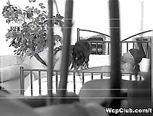 Rylee Peyton Nude Pornstar Search Results