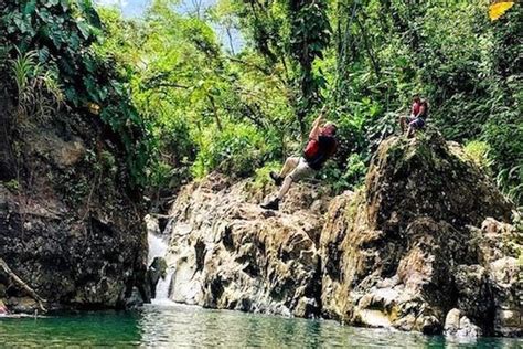 Puerto Rico El Yunque Rainforest Waterfalls Half Day Tour Activity