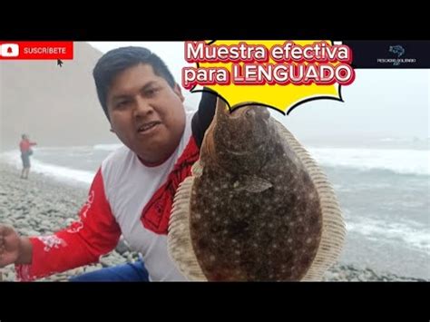 CÓMO PESCAR LENGUADOS EN PUNTA DE BOMBON YouTube