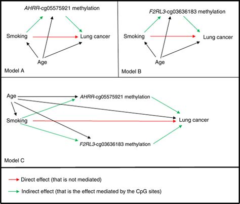 Mediation Analysis Graphical Representation In Model A The Download Scientific Diagram