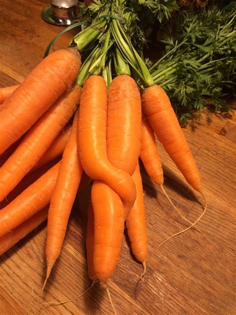 Carrots Vegetables Vitamins Free Photo On Pixabay