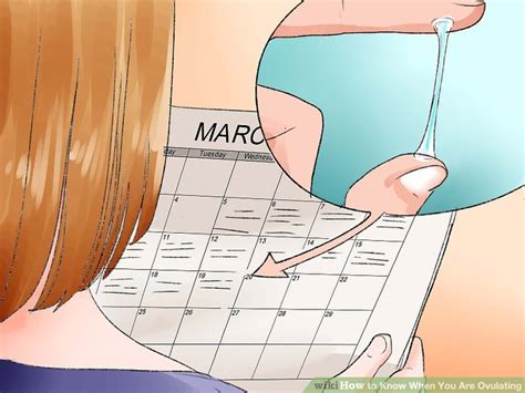 6 Ways To Know When You Are Ovulating WikiHow