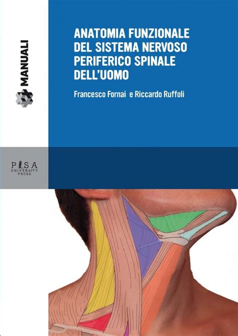 Programma Di Esame Di Anatomia Umana Ii Riccardo Ruffoli