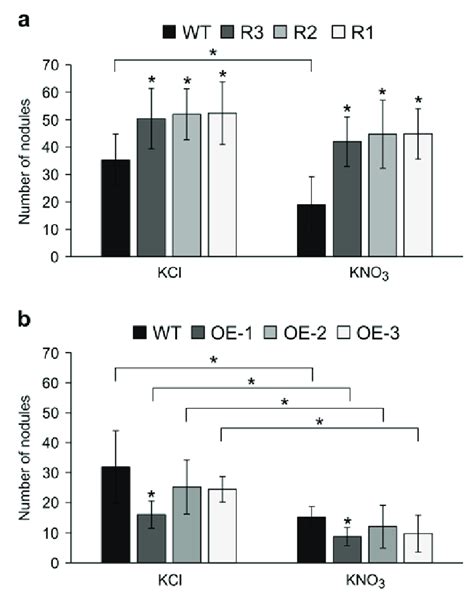 Effect Of Mm Kno On Nodulation Phenotype In Spl Rnai And S Spl