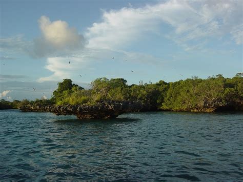 Aldabra Atoll | | Alluring World