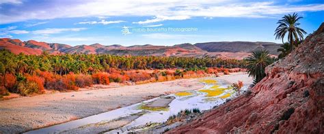 Biskra, Algeria 2023: Best Places to Visit - Tripadvisor