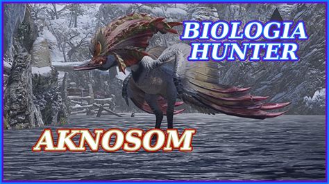 Biologia Monster Hunter Tudo Sobre AKNOSOM Detalhes E Curiosidades