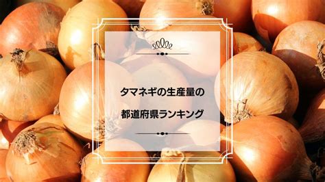 タマネギの生産量の都道府県ランキング！日本一はどこ？ プリラン47：都道府県ランキング