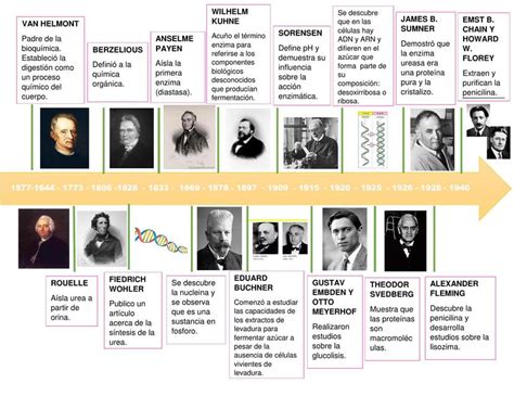 LINEA DE TIEMPO HISTORIA DE LA BIOQUIMICA Medicina General