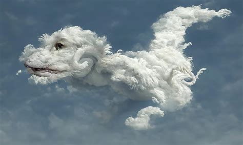 Falkor Digital Art by Tom Mason - Fine Art America