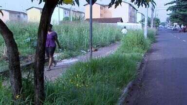 Bom Dia Cidade Ribeir O Preto Moradores Reclamam De Terreno