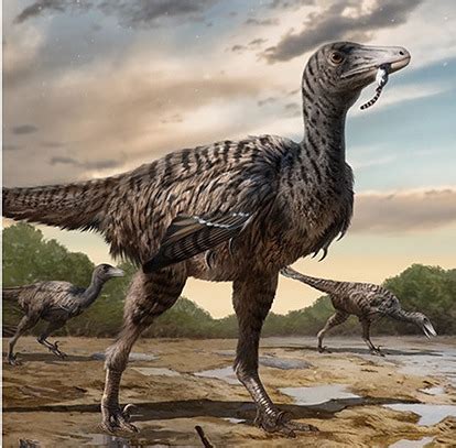 Registran las huellas de dinosaurio raptor más grandes jamás