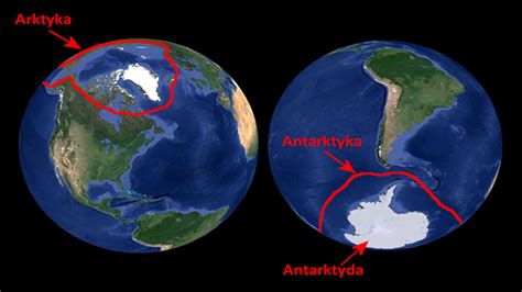 Arktyka Antarktyda i Antarktyka Czym się od siebie różnią