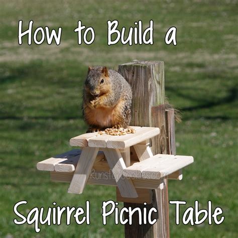 How To Build A Squirrel Picnic Table A Tutorial Artofit