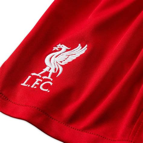 Cal Es Nike Liverpool Fc Primeiro Equipamento Crian A Gym