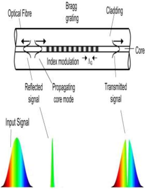 Figure 1 From Tipped Fiber Bragg Grating Sensor For Concentration