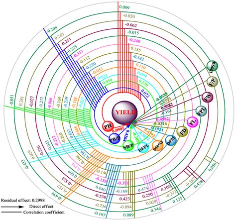 Path Diagram Of Different Yield Contributing Characters On Yield At