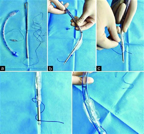 Preparation Of Endotracheal Tube In Group B A A Long Sterile Silk