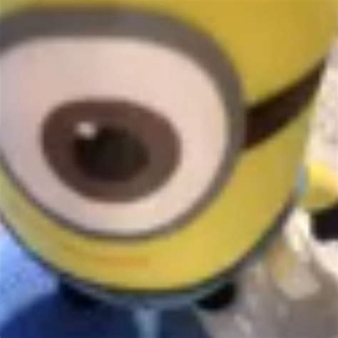 Minion Em 2022 Minions Fofos Meme Minion Papel De Parede Minions