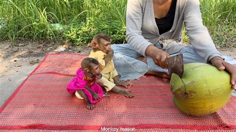 Mason And Marrya In Line Wait Mom Cut Tinq Giant Coconuts Youtube