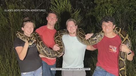 Florida Man Wrestles With A Record Breaking Foot Long Burmese Python