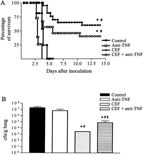 Figure From Uva Dare Digital Academic Repository Anti Tumor