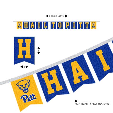 Pittsburgh Panthers Banner String Pennant Flags State Street Products