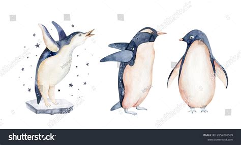 Beautiful Watercolor Illustration Three Penguins Hand 库存插图 2052240509