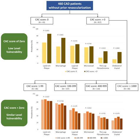 Coronary Artery Calcium Score Fact Sheet – ZOMVFL