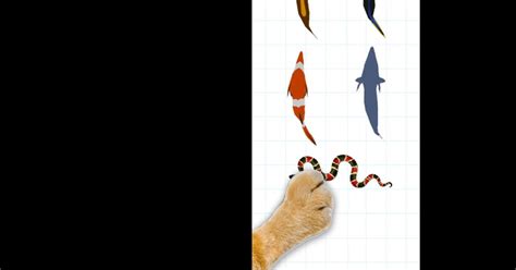 play  cat catch  fish   pc mac emulator