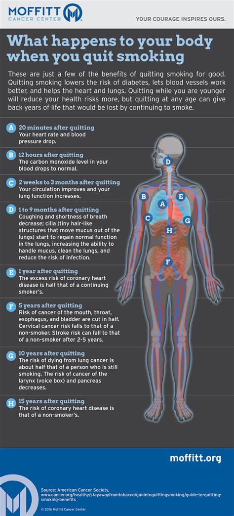 Infographic What Happens To Your Body When You Quit Smoking Moffitt