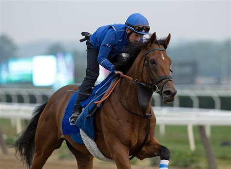 Two-mile Gold Cup lures large, eclectic cast of marathoners