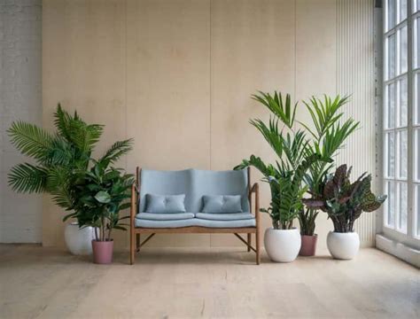 10 ý Tưởng Indoor Plants Decoration Ideas In Living Room để Tạo Không