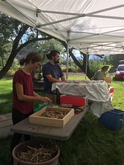 Seed Cleaning Extravaganza Kamloops Food Policy Council