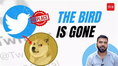 Elon Musk Replaces Twitters Blue Bird Logo With Doge Meme Here Is