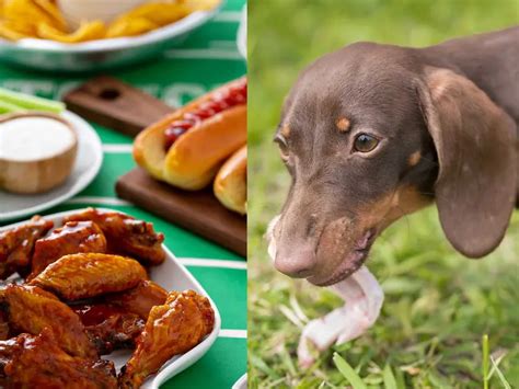 Alitas Los Perros Pueden Comer Alitas Cocinadelirante