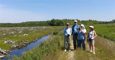 South Shore Bird Club Of Ma Se Bioreserve Freetown Fall River