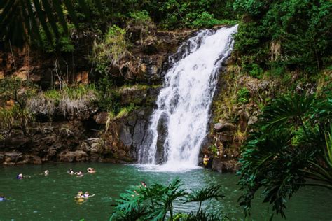 Waimea Valley & Waterfall - LAURALOHA TRAVEL