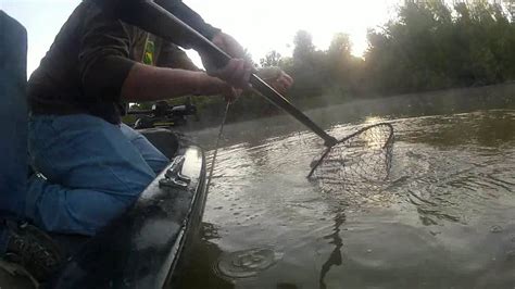 Catfishing Trotlining For Flatheads YouTube