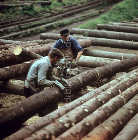 DDR Fotoarchiv Katzhütte DDR Fortwirtschaft Thüringer Wald 1969