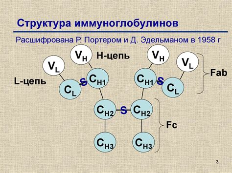 Иммуноглобулины - online presentation